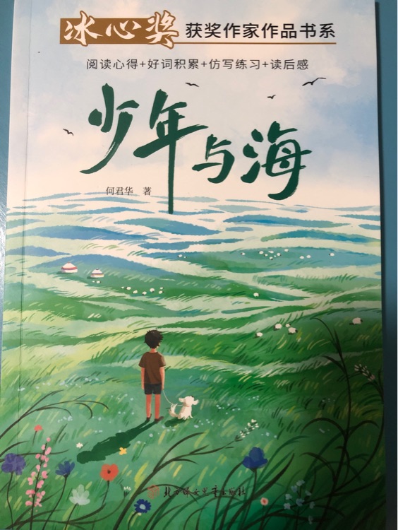 少年與海