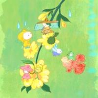 柚子粒要發(fā)芽