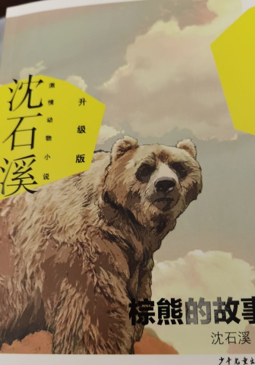 棕熊的故事
