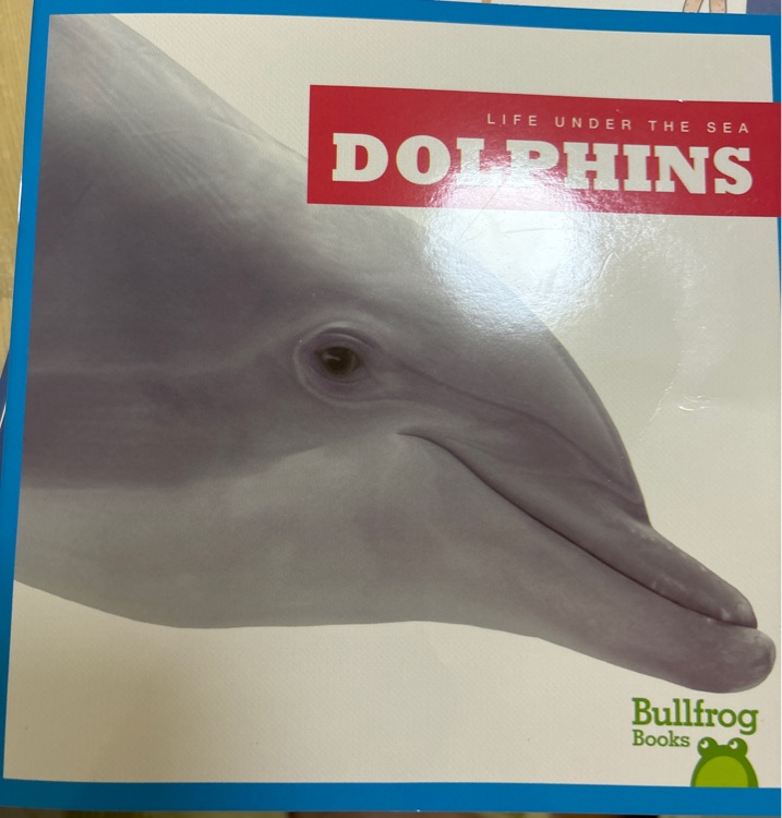 DOLPINS
