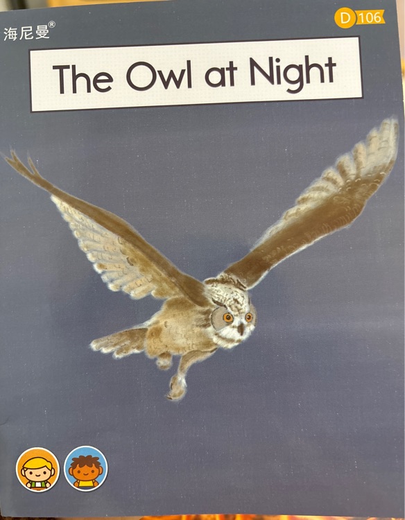 The owl at night