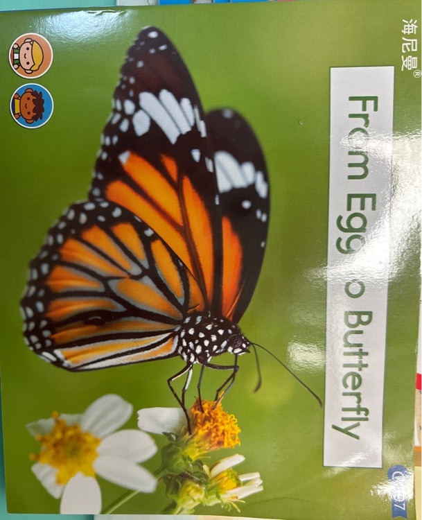 From Egg to Butterfly