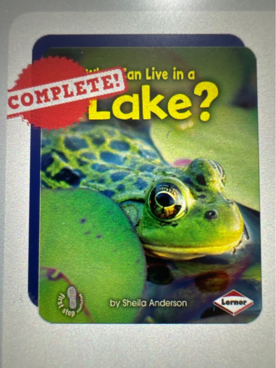 What can live in a lake?