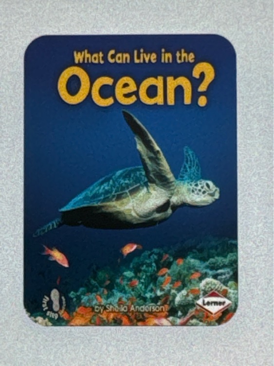 What can live in an ocean?