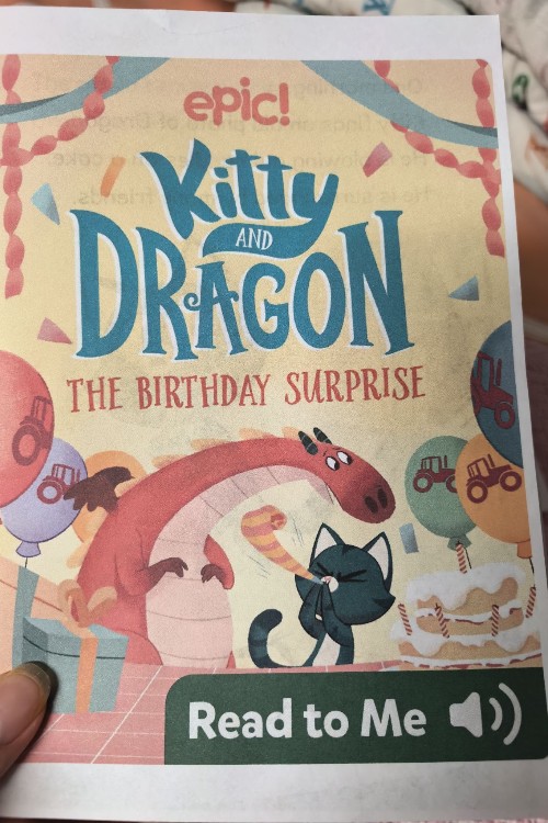 the birthday surprise