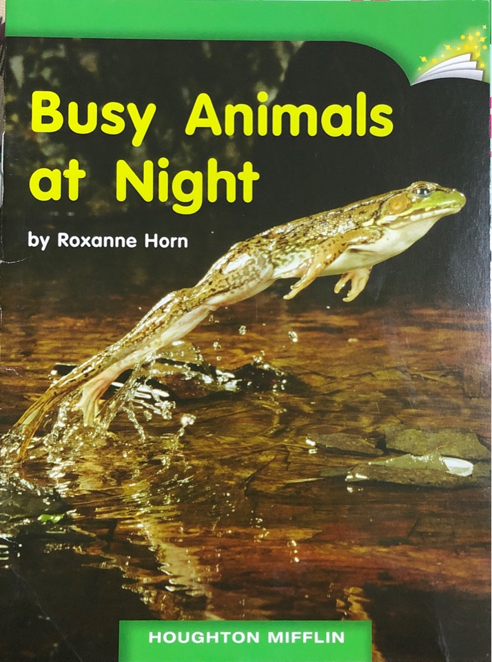 Busy Animals at Night