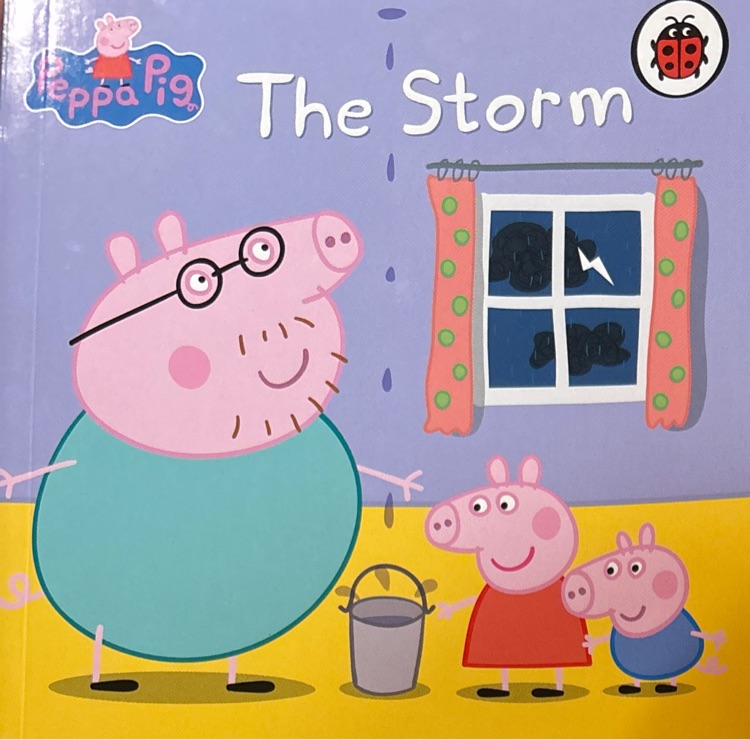 the storm