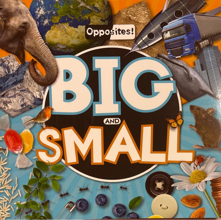 opposites big and small