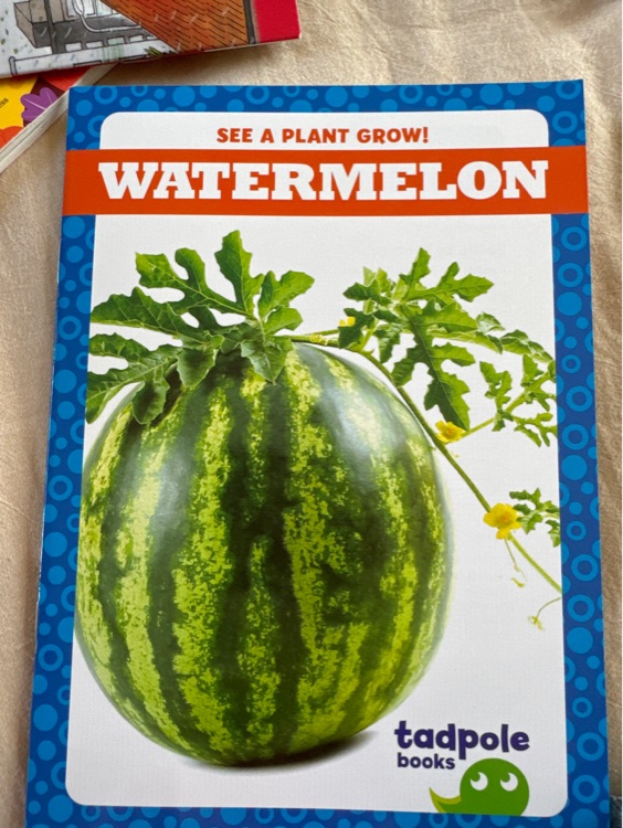 Watermelon