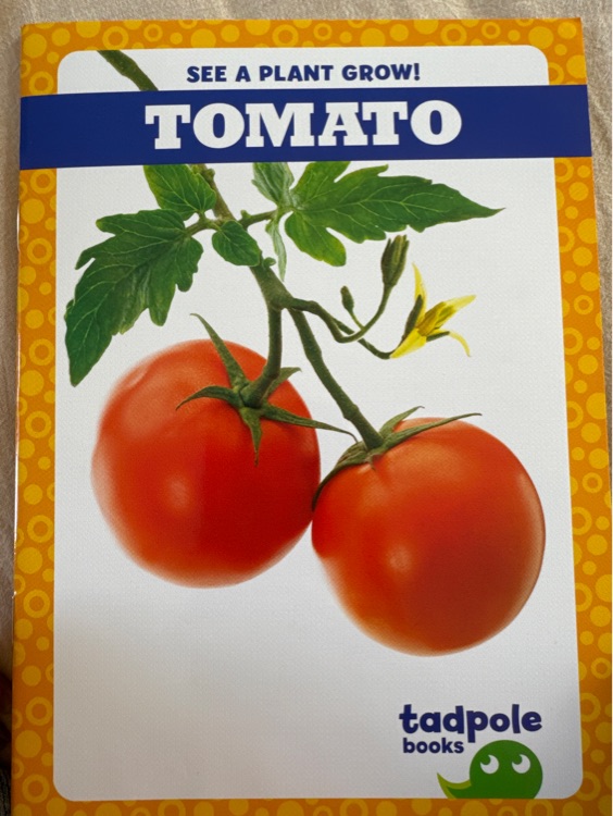 Tomato