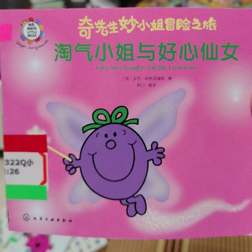 奇先生妙小姐淘氣小姐和好心仙女