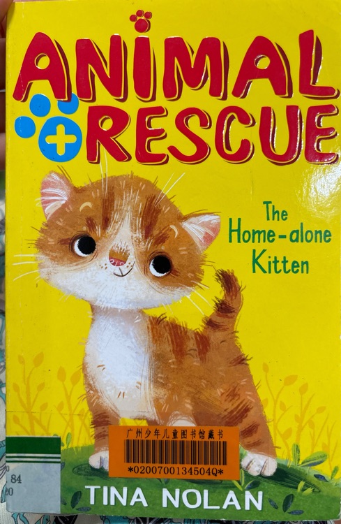 Animal rescue the home-alone kitten