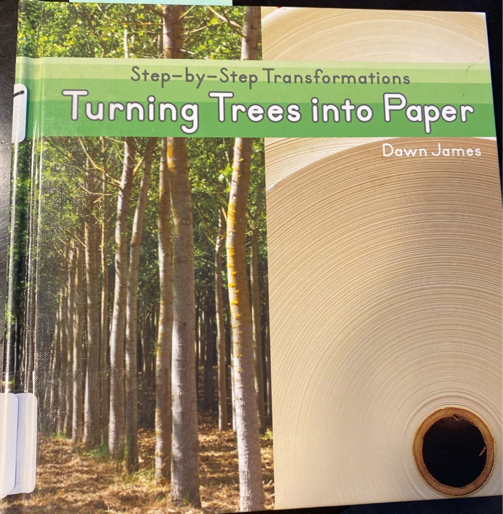 Turning trees into paper