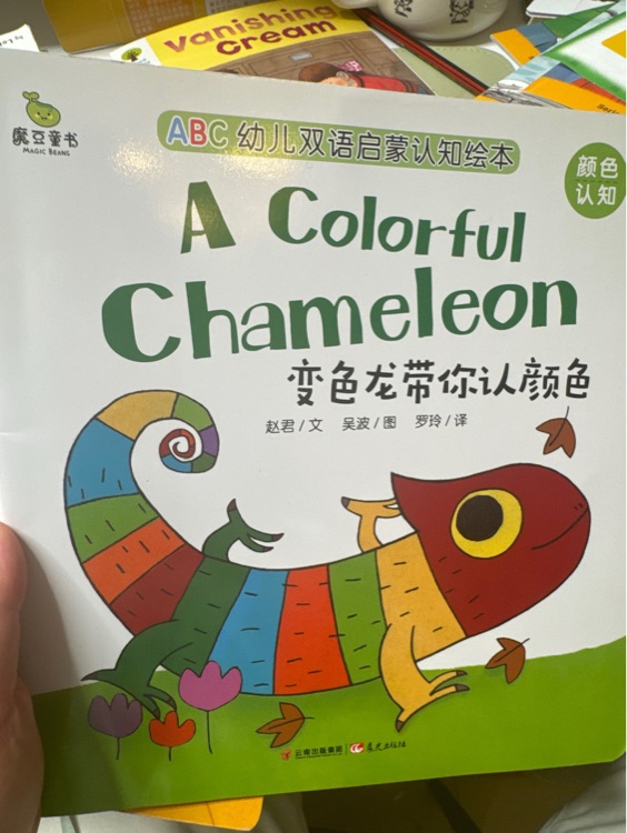 A colorful chameleon