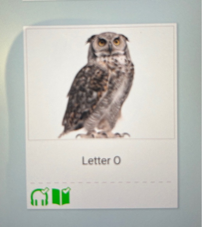 Letter O