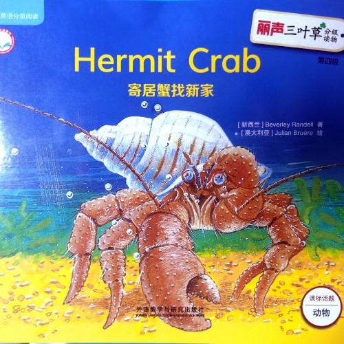 Hermit Crab