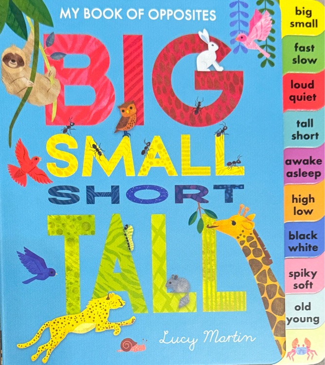 big small short tall