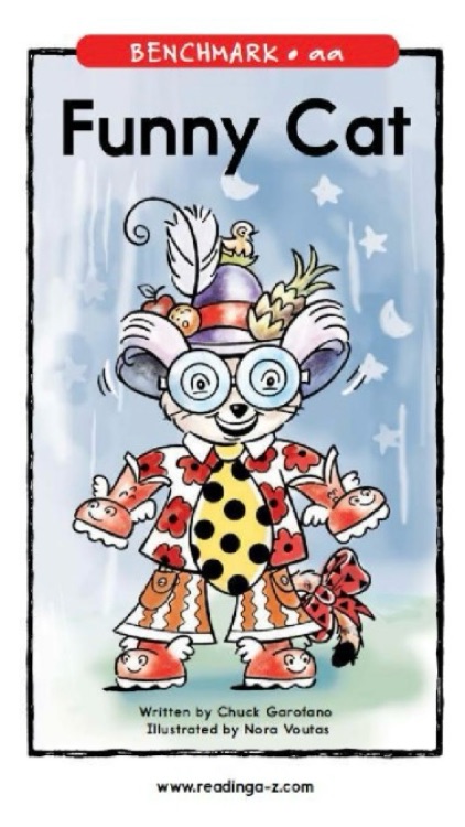 90 Funny Cat (RAZ aa)
