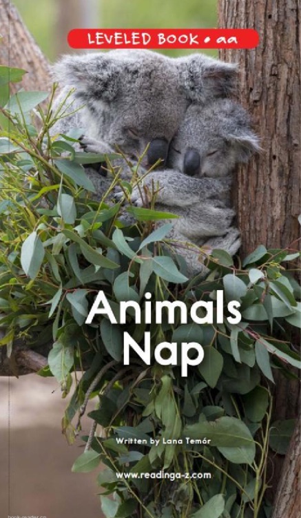19 Animals Nap (RAZ aa)