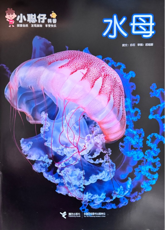 小聰仔科普版 2022.5 水母
