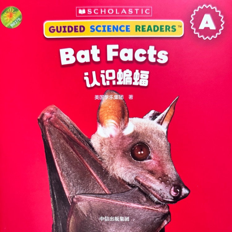學(xué)樂小讀者英語分級(jí)閱讀: 科普系列A級(jí)-bat facts