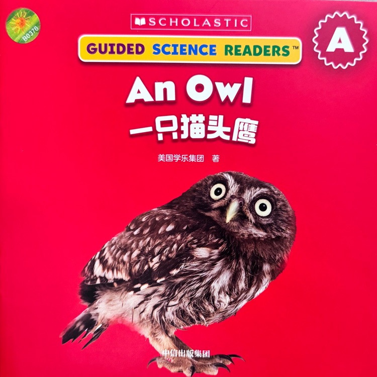 學(xué)樂小讀者英語分級(jí)閱讀: 科普系列A級(jí)-An owl