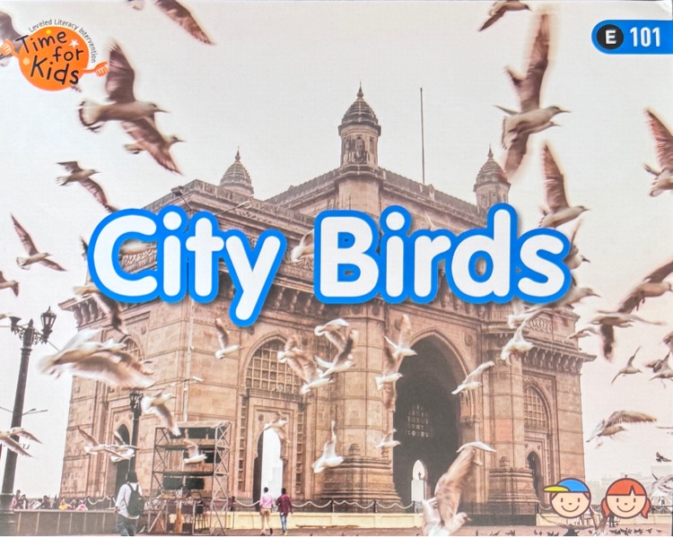 Heinemann-E-101: City Birds