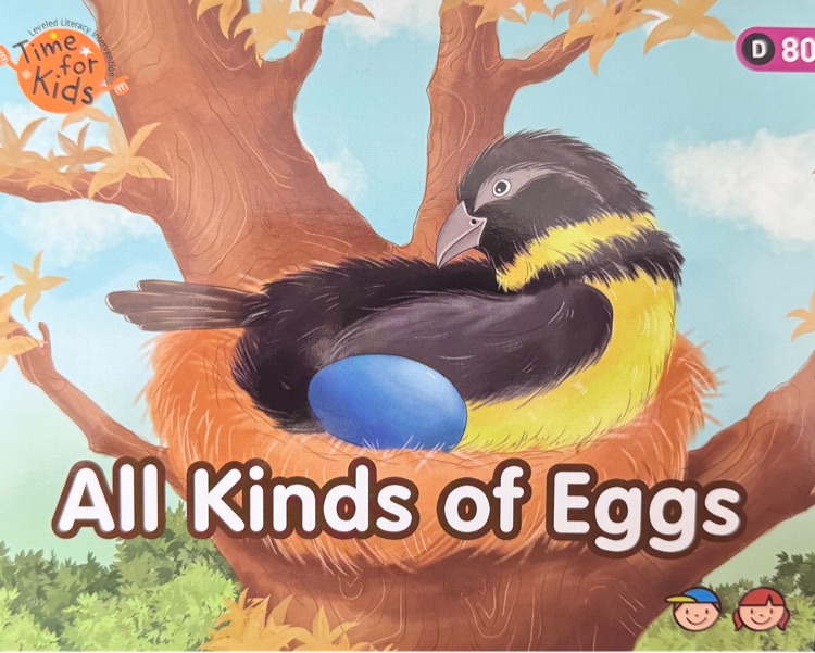 Heinemann Gk-80: All kinds of eggs
