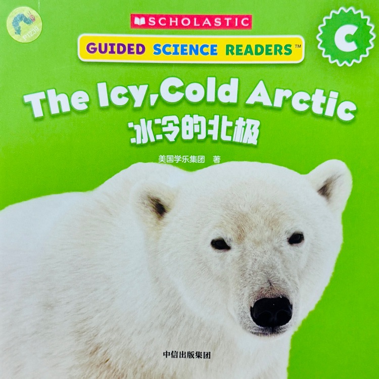 The Icy , Cold Arctic