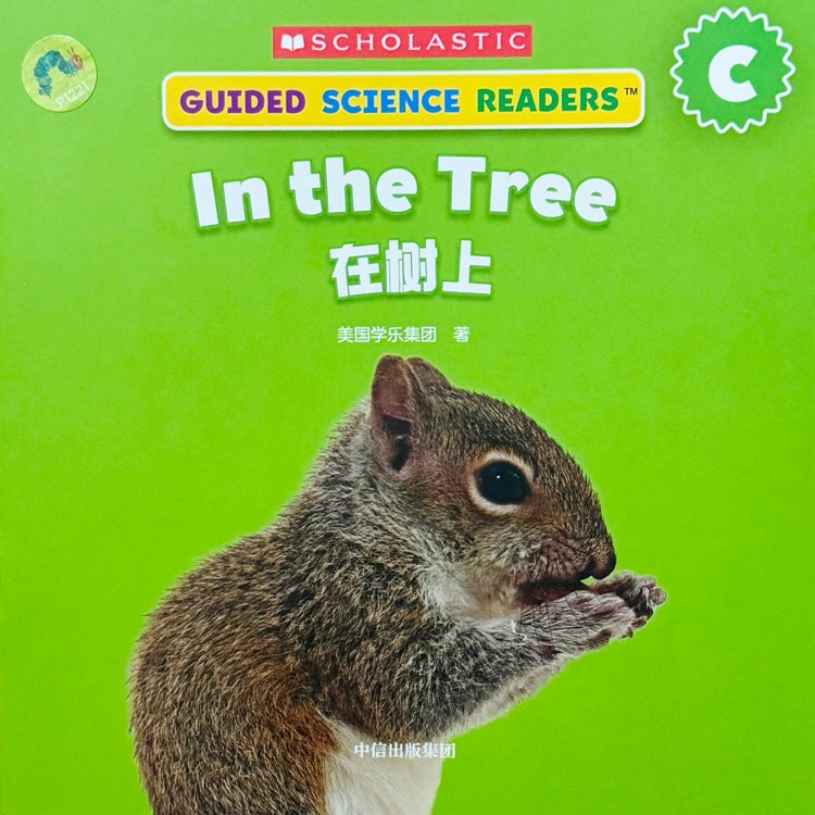 In the Tree