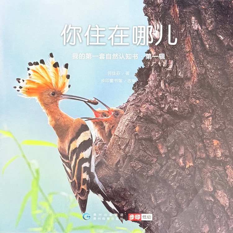 查看系列