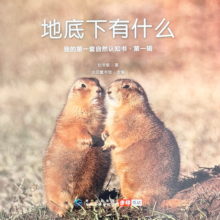 查看系列