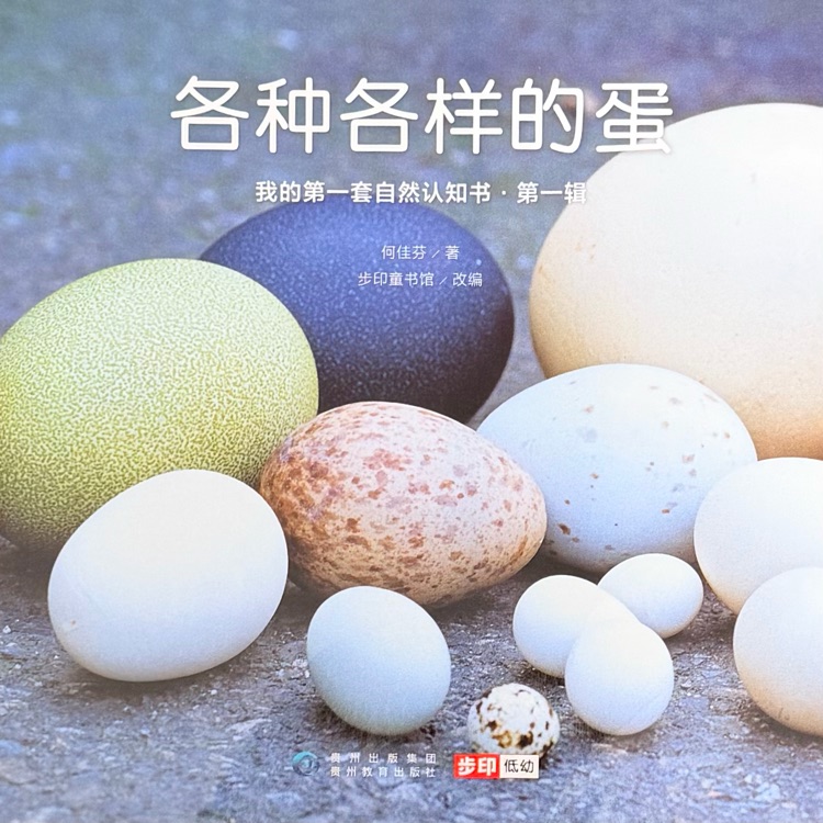 查看系列