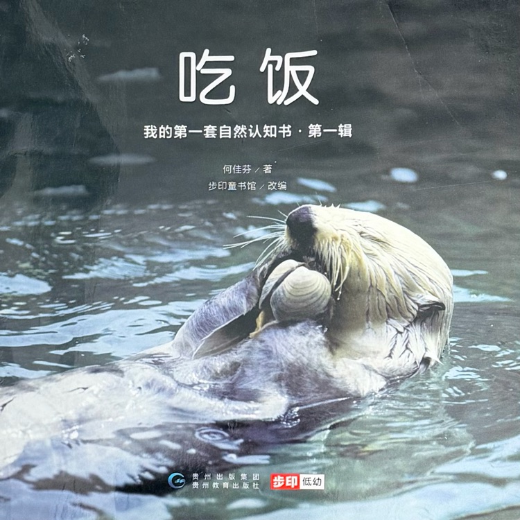 查看系列