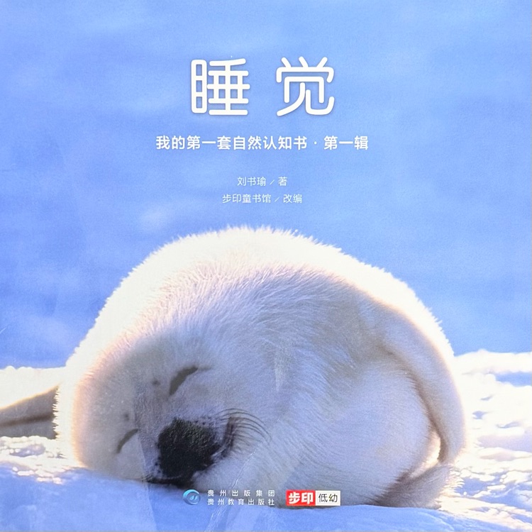 查看系列