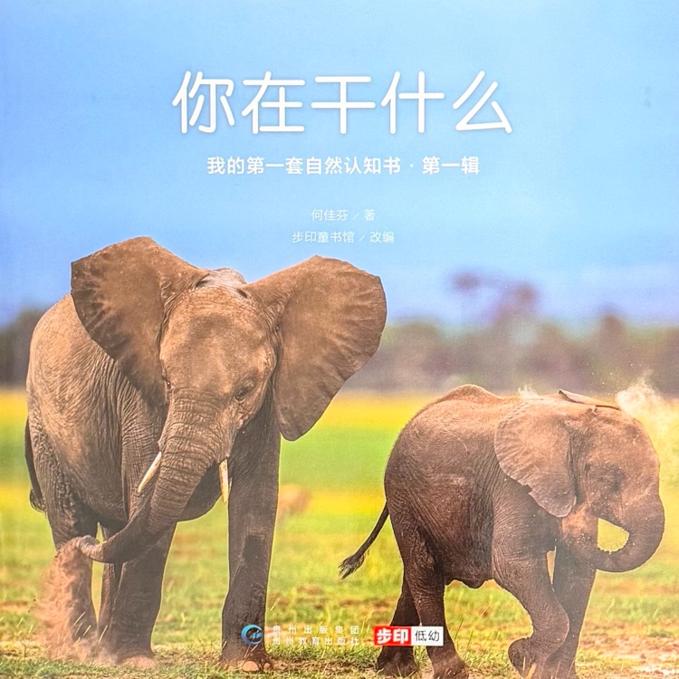 查看系列