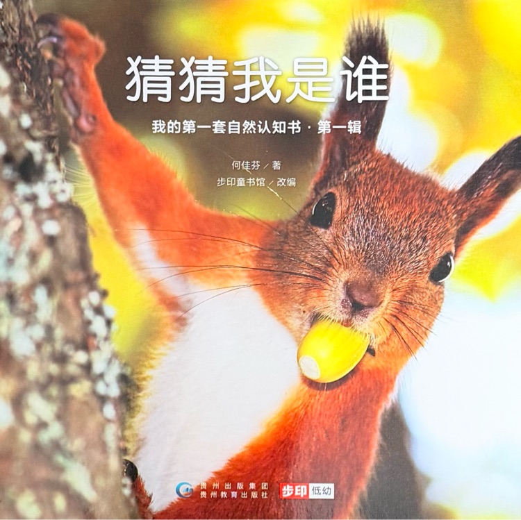 查看系列