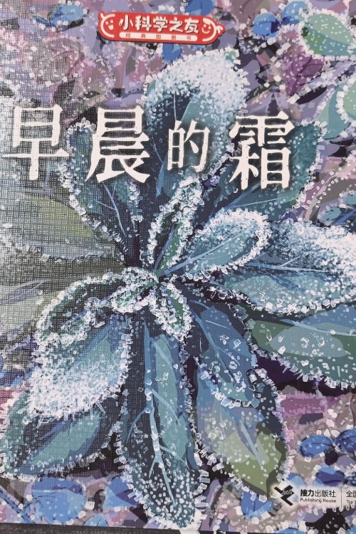 早晨的霜