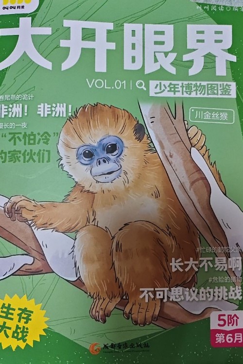 大開眼界