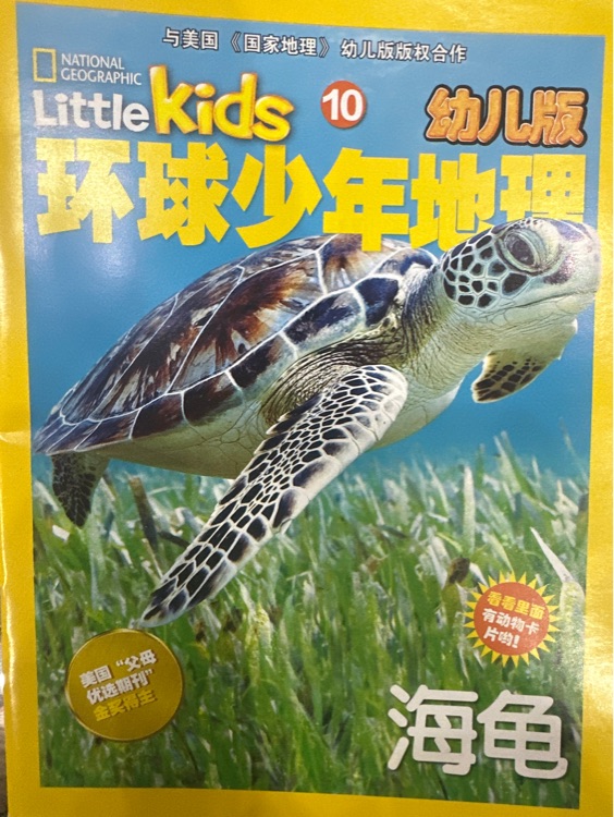 環(huán)球少年地理 海龜