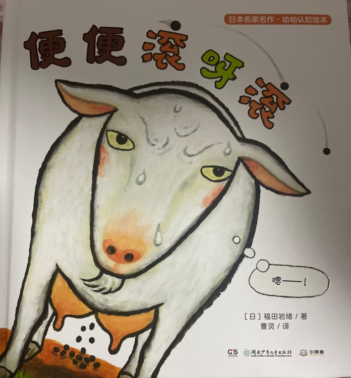 便便滾呀滾