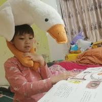 小星語