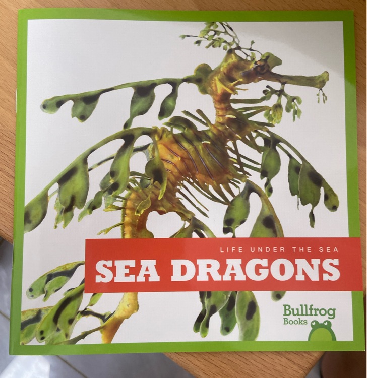 sea dargons