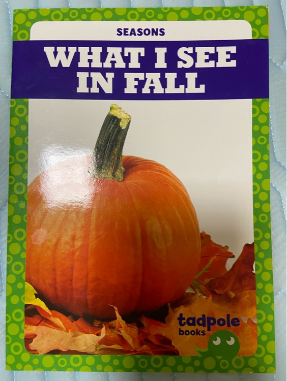 What I see in Fall