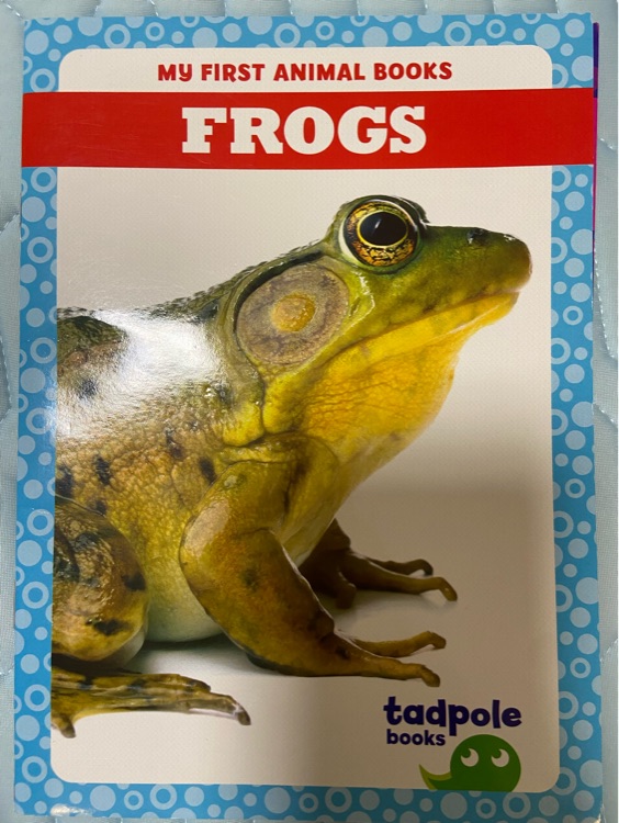 Frogs