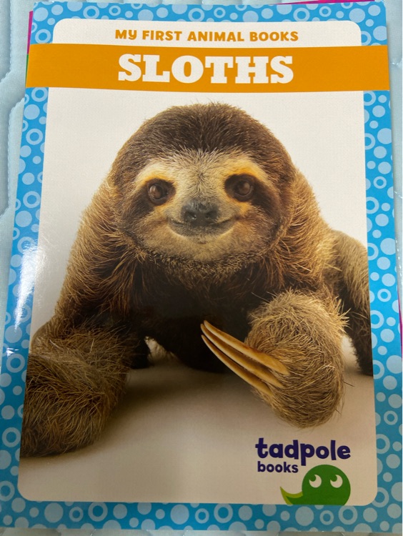 Sloths