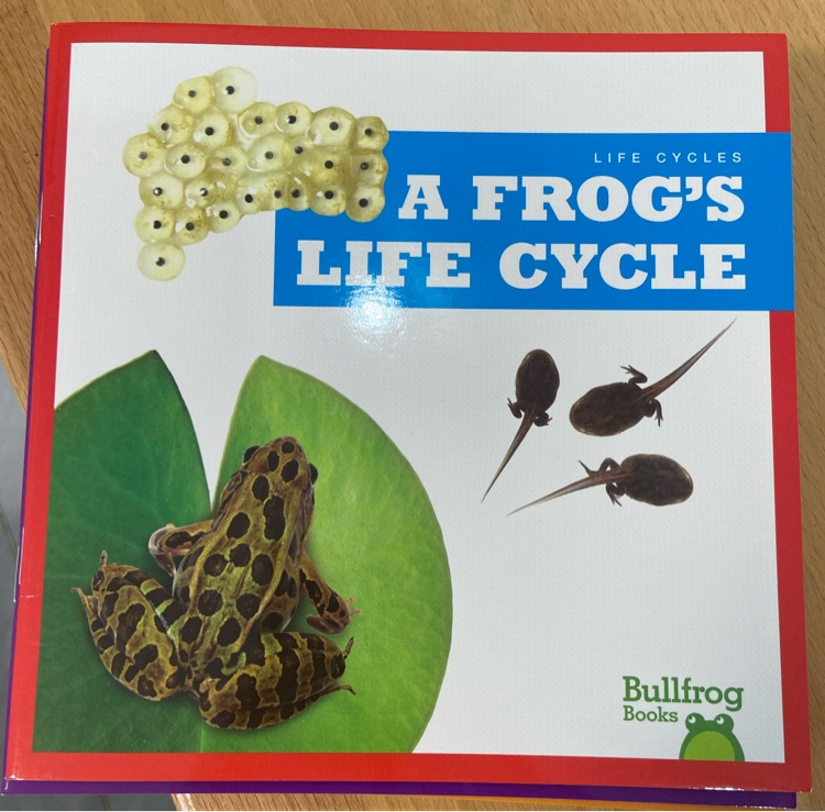 A frog's life cycle