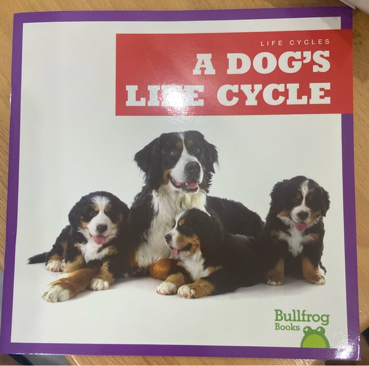 A dog's life cycle