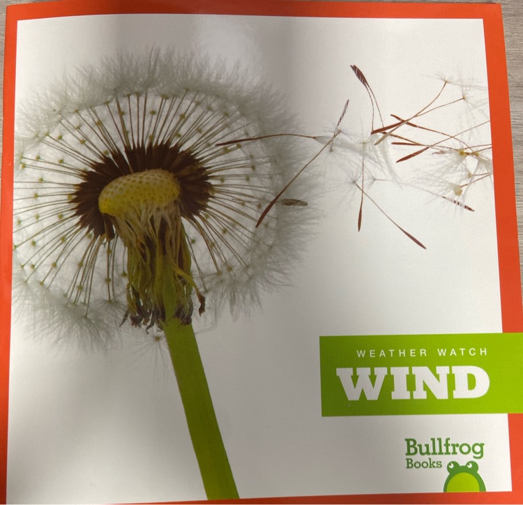 Wind