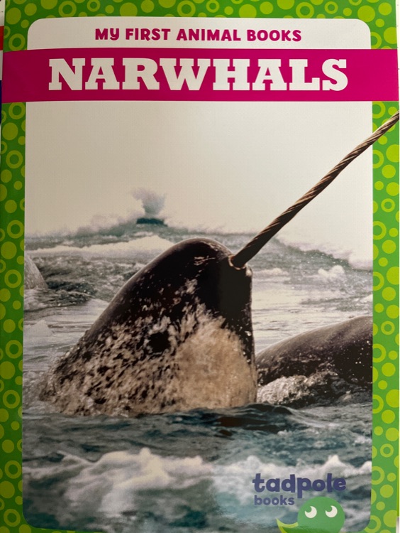 Narwhals